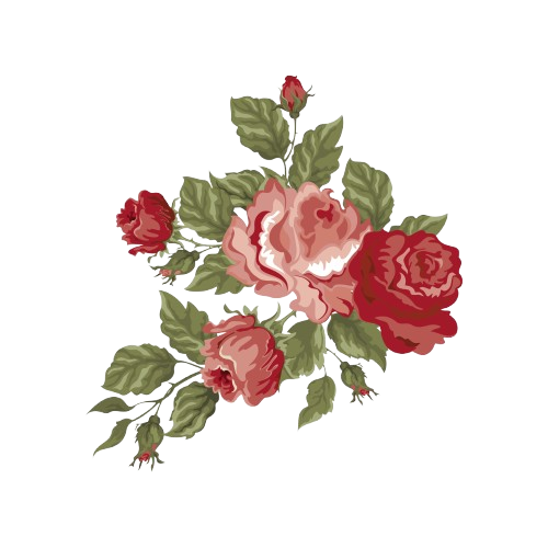 design sem nome 5 removebg preview