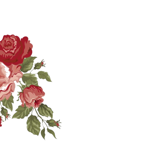 design sem nome 6 removebg preview
