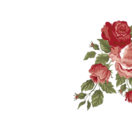 design sem nome 7 removebg preview